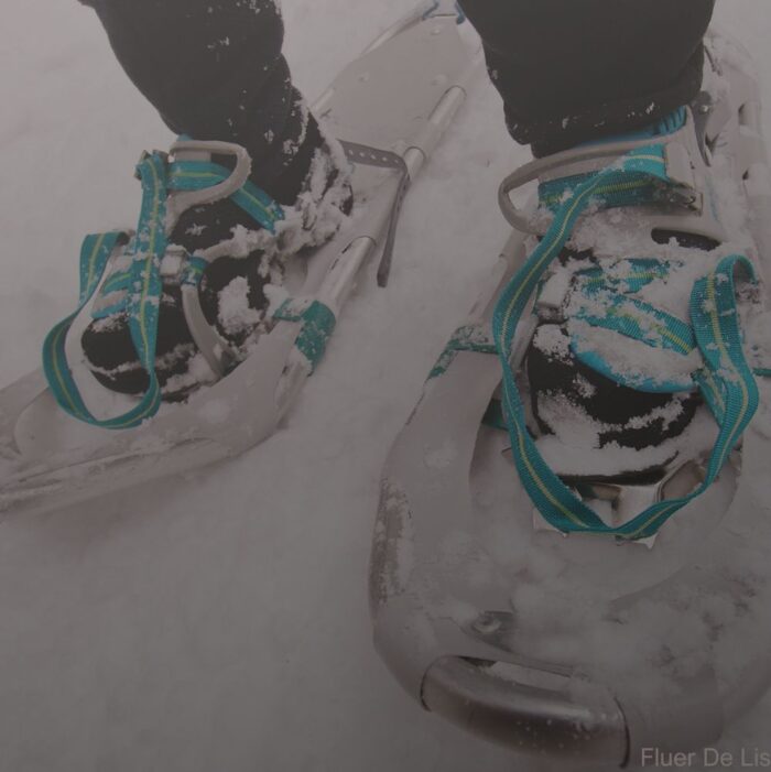 Snowshoe Rentals